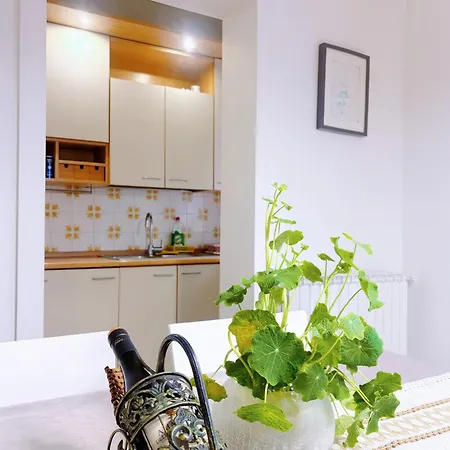 Terra Venice Apartment